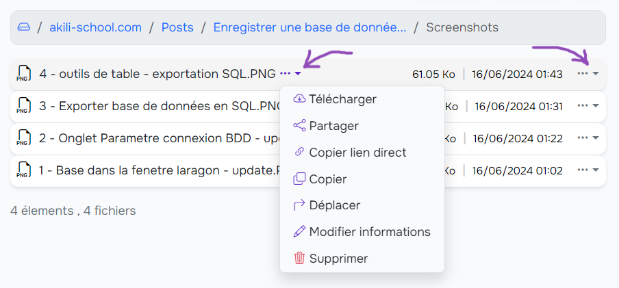 Aperçu du menu Arborescence dans FileTransport